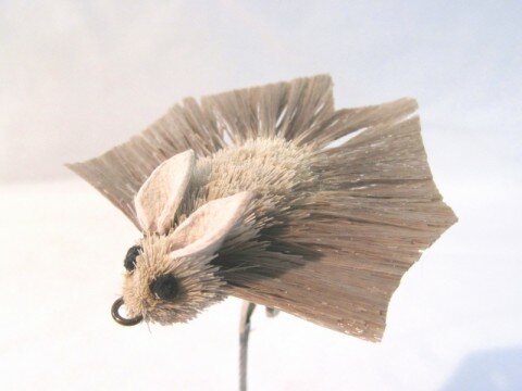 Bat